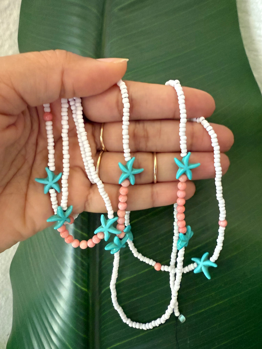 Sea Star