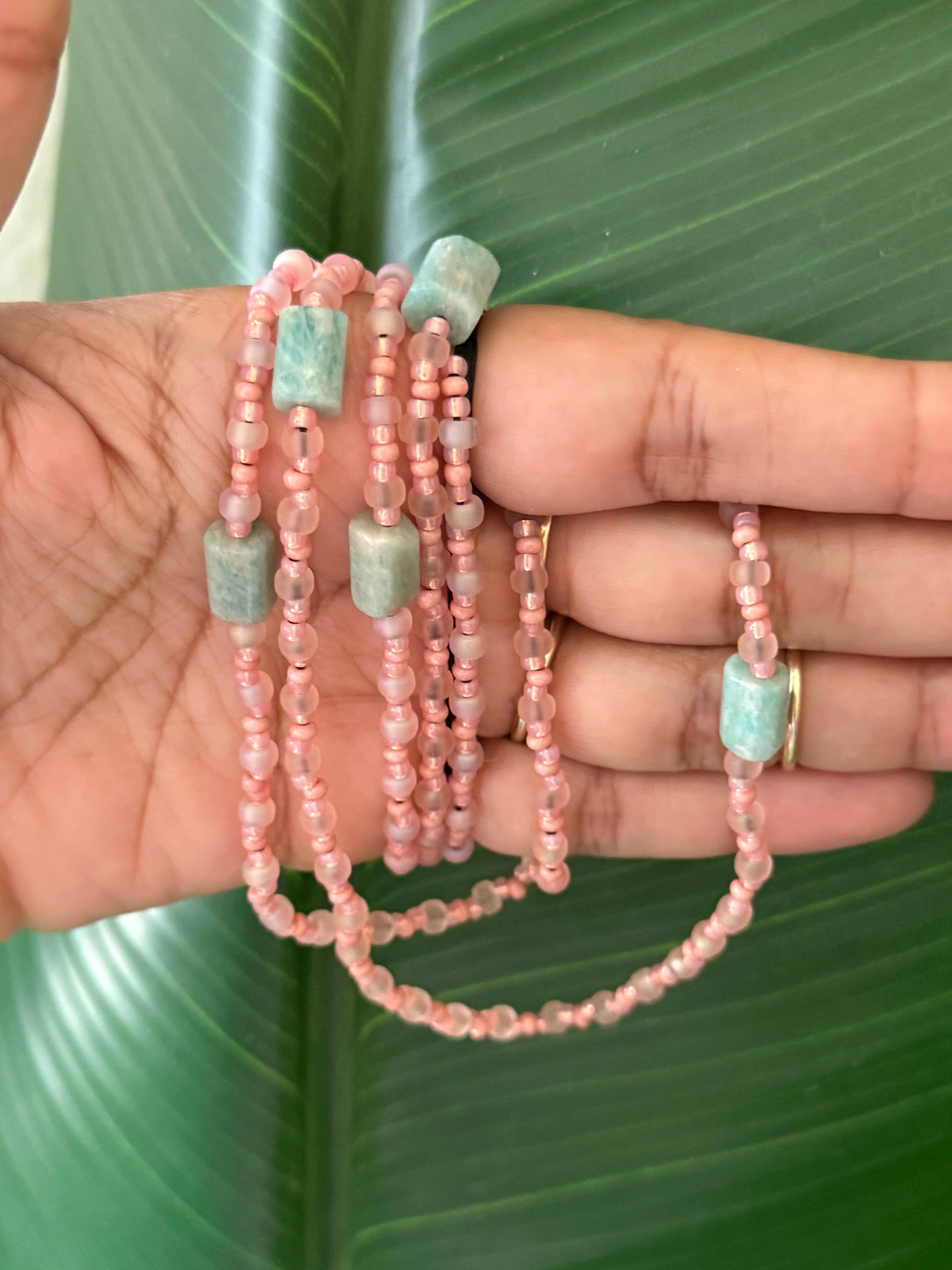 Blush in Bloom