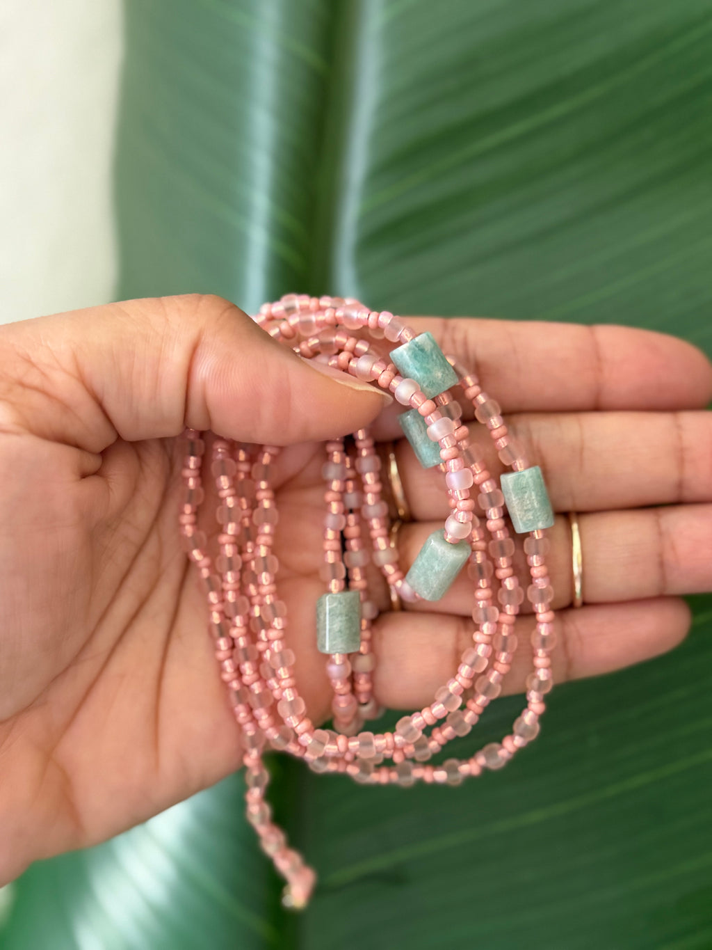 Blush in Bloom