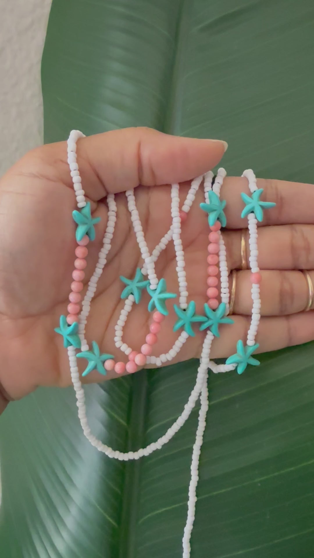 Sea Star